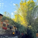 黄姚古镇 - 贺州市旅游 缩略图 5