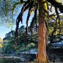黄姚古镇 - 贺州市旅游 缩略图 7