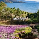 三亚旅游 缩略图 3