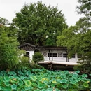 苏州旅游 缩略图 4