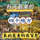西安旅游 缩略图 1