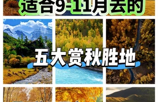 9-11月赏秋指南｜这5个地方秋色封神🍁