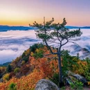 杭州旅游 缩略图 8