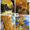 南京旅游 缩略图 5