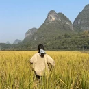 桂林旅游 缩略图 9