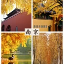 南京旅游 缩略图 4
