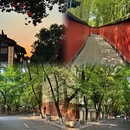 成都旅游 缩略图 4