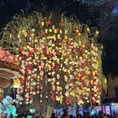 南京旅游 缩略图 5