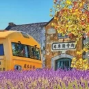 大理州旅游 缩略图 4