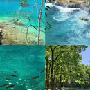 南京旅游 缩略图 2