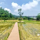 麦村村委会 - 广州市旅游 缩略图 4