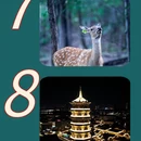 杭州旅游 缩略图 4