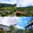 杭州千岛湖丽筠度假酒店 - 杭州市旅游 缩略图 12
