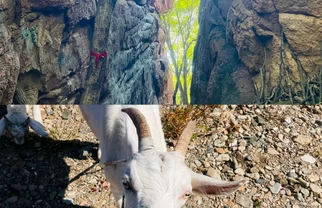 探索黑龙江省哈尔滨市松峰山景区！