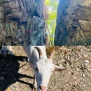 松峰山景区 - 哈尔滨市旅游 缩略图 1