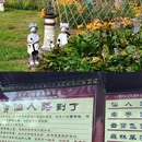 香炉山国家森林公园 - 哈尔滨市旅游 缩略图 3