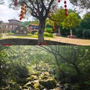香炉山国家森林公园 - 哈尔滨市旅游 缩略图 6