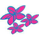 Air Rarotonga logo