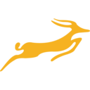 Precision Air logo