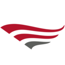 Red Wings logo