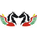 Air Burkina logo