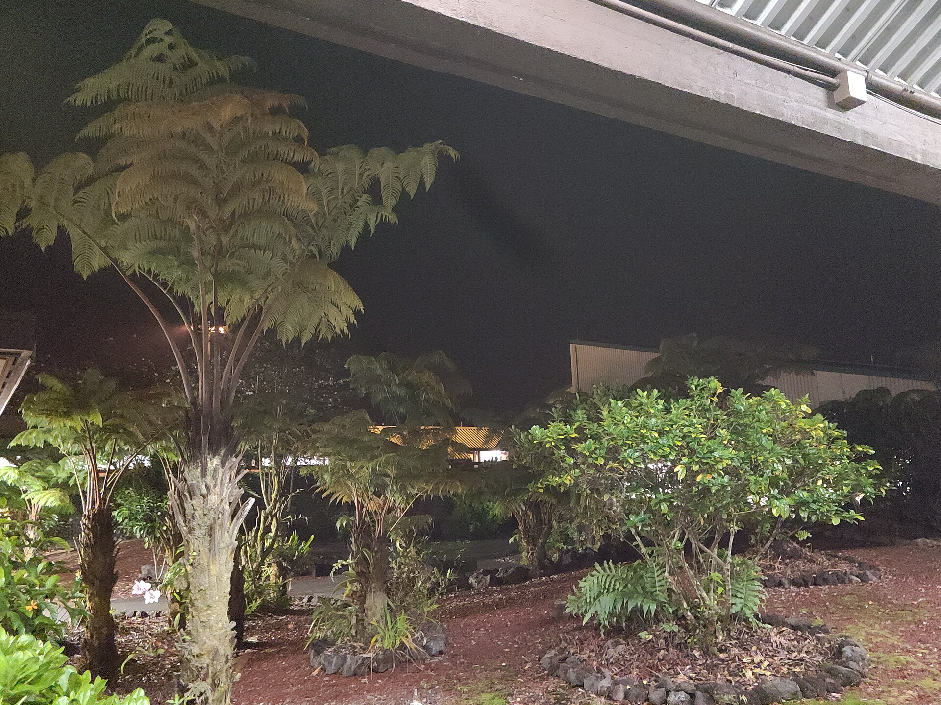 Hilo International Airport