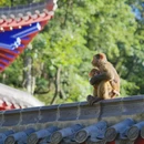 黔灵山公园 - 贵阳市旅游 缩略图 1