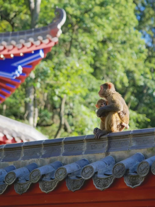 黔灵山公园 - 贵阳市旅游