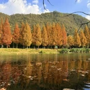 黔灵山公园 - 贵阳市旅游 缩略图 3