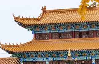国庆短途自驾路线|金秋佳节，带孩子奔赴秋日山林