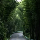 赤水丹霞旅游区·大瀑布 - 遵义市旅游 缩略图 2