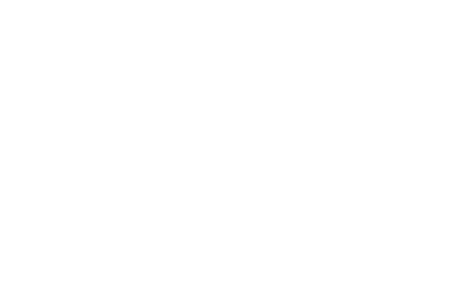Bemidji Aviation logo