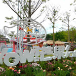 WOW芒果口袋乐园