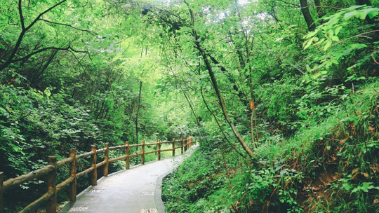 秦岭江山景区门票