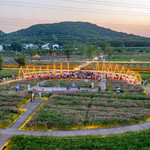 肖家巷特色田园乡村