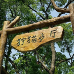 飞鸟世界