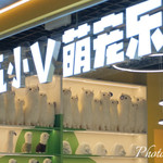 元气小V萌宠乐园