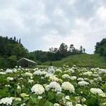鹿野花塔