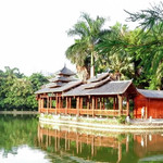 南宁金花茶公园