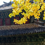 玉峰寺