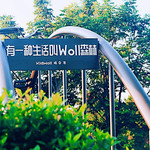 Woll森林自然营地