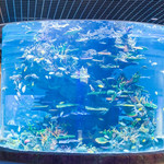 吉安海洋世界