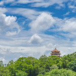 虎英郊野公园