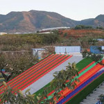 昆明呈贡区花鱼塘生态游乐园