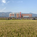 稻田公园