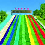 塔儿湾滑雪场