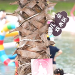 快乐老街水上乐园