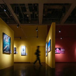 国家地理摄影大展-南京站