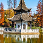 新樱花欢乐园