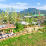 松垟花开火车乐园